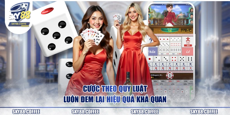 Cược theo quy luật luôn đem lại hiệu quả khả quan